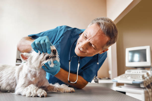 Best Emergency Broken Tooth Repair in Indialantic, FL